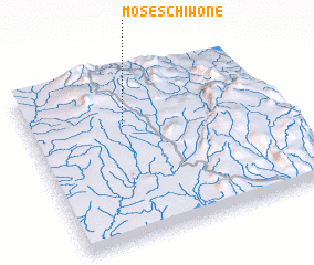 3d view of Moses Chiwone