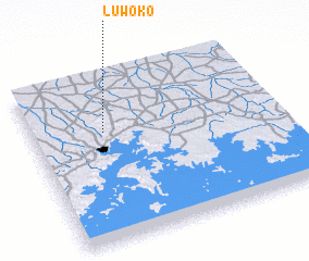 3d view of Luwoko