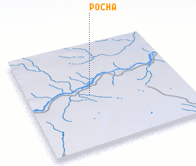 3d view of Pocha
