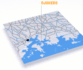 3d view of Njokero