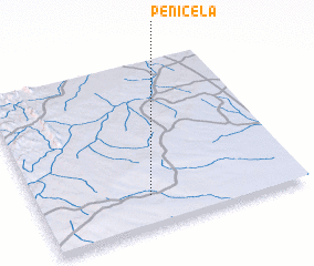 3d view of Penicela