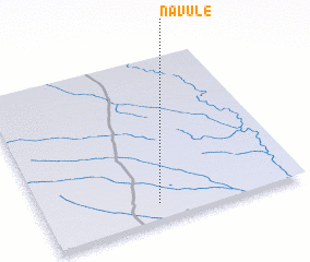 3d view of Navule