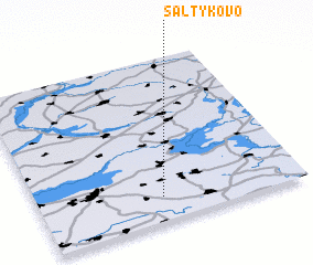 3d view of Saltykovo