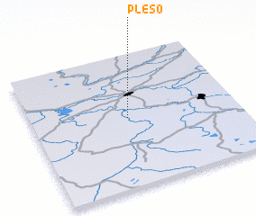 3d view of Plëso