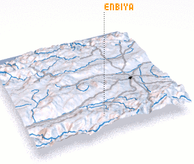 3d view of Enbiya