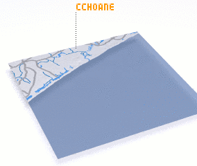 3d view of C. Choane