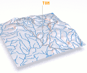 3d view of Tom