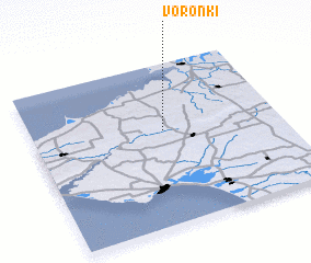 3d view of Voronki