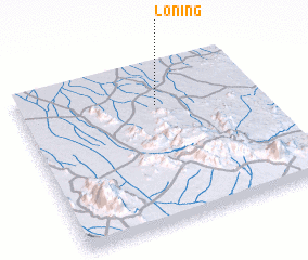 3d view of Loning