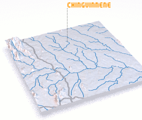 3d view of Chingüinnene