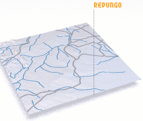 3d view of Repungo