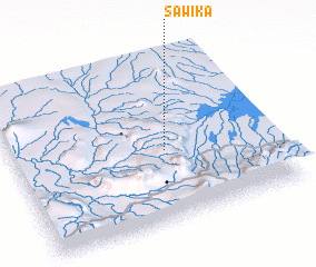 3d view of Sawika