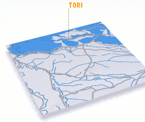 3d view of Torī