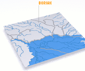 3d view of Boriak