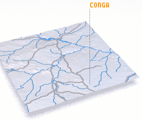 3d view of Conga