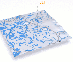 3d view of Muli