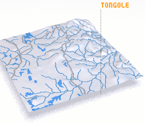 3d view of Tongole