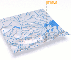 3d view of Inyala