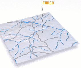 3d view of Fungô