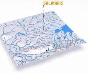 3d view of Salimanis