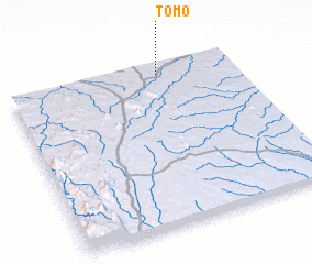 3d view of Tomo