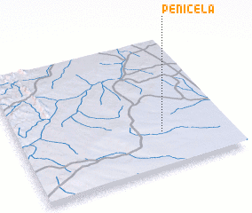 3d view of Penicela