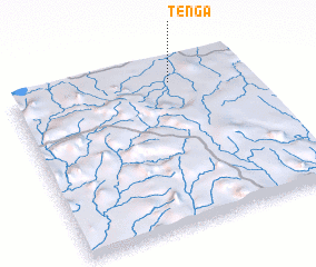 3d view of Tenga