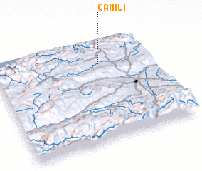 3d view of Camili