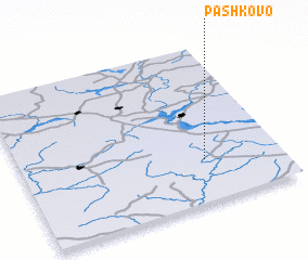 3d view of Pashkovo