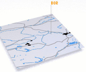 3d view of Bor