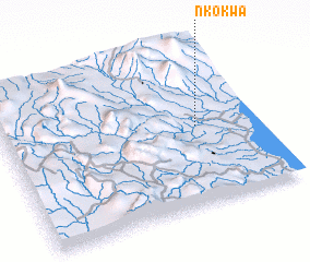 3d view of Nkokwa