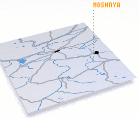 3d view of Moshnya