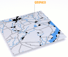 3d view of Gripasi