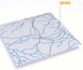 3d view of Apida