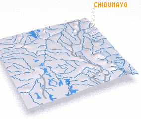 3d view of Chidumayo