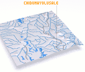 3d view of Chidumayo Lusale