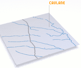 3d view of Caulane