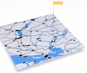 3d view of Birki