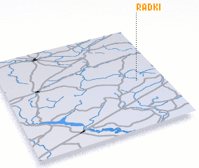 3d view of Radki