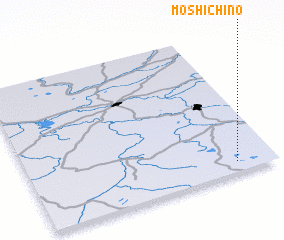 3d view of Moshichino