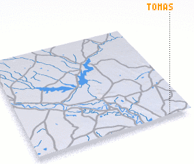 3d view of Tomás