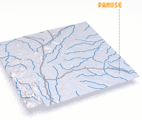 3d view of Pamuse