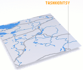 3d view of Tashkenitsy