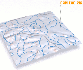 3d view of Capitaciria