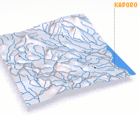 3d view of Kaporo