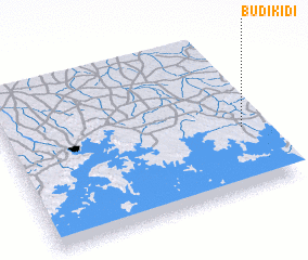 3d view of Budikidi