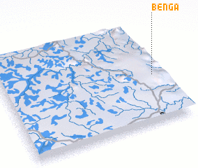 3d view of Benga