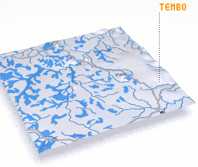 3d view of Tembo