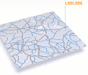 3d view of Loolung