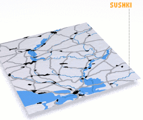 3d view of Sushki